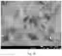 Fig. 08 - Preparation method for ultrathin SB2S3 nanosheet as anode material for Li/Na ion battery applications