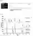 Fig. 14 - Lithium complex oxide for lithium secondary battery positive active material and method of preparing the same