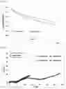 Fig. 24 - Lithium complex oxide for lithium secondary battery positive active material and method of preparing the same