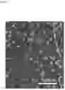 Fig. 03 - Lithium secondary battery