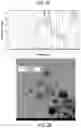 Fig. 03 - Catalyst for solid polymer fuel cell and method for producing same