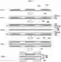 Fig. 04 - Method of manufacturing planar membrane electrode assembly for fuel cell and planar membrane electrode assembly for fuel cell manufactured using the same