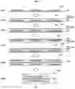 Fig. 07 - Method of manufacturing planar membrane electrode assembly for fuel cell and planar membrane electrode assembly for fuel cell manufactured using the same