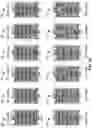 Fig. 06 - Branched anodes for microbial fuel cells