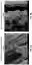 Fig. 15 - Branched anodes for microbial fuel cells