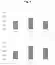 Fig. 05 - LITHIUM ION BATTERY AND PRODUCING METHOD THEREOF