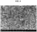 Fig. 05 - Multi-layer structured composite electrolyte and secondary battery using same