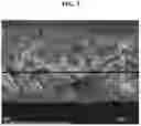 Fig. 06 - Multi-layer structured composite electrolyte and secondary battery using same