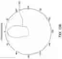 Fig. 19 - Electromagnetic signal focusing structures