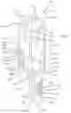 Fig. 02 - Dual contact IDC header pin