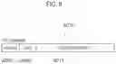 Fig. 06 - Power management method, power management apparatus, power conversion apparatus, and power management system
