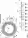Fig. 05 - Stator assembly