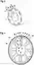 Fig. 03 - Rotor assembly with magnets and cooling channels and cooling channel separation element in the shaft