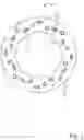 Fig. 02 - Contact ring for a stator of an electric motor