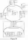 Fig. 19 - Coordinated multipoint systems