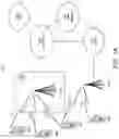 Fig. 02 - COMMON CONTROL CHANNEL AND REFERENCE SYMBOL FOR MULTIPLE WAVEFORM DATA TRANSMISSION