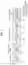 Fig. 02 - Method for transmitting and receiving signal between terminal and base station in wireless communication system, and apparatus for supporting same