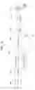 Fig. 42 - Apparatus for transmitting broadcast signals, apparatus for receiving broadcast signals, method for transmitting broadcast signals and method for receiving broadcast signals