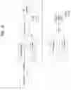 Fig. 44 - Apparatus for transmitting broadcast signals, apparatus for receiving broadcast signals, method for transmitting broadcast signals and method for receiving broadcast signals