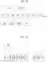 Fig. 70 - Apparatus for transmitting broadcast signals, apparatus for receiving broadcast signals, method for transmitting broadcast signals and method for receiving broadcast signals