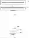 Fig. 02 - Downlink control channel detection method, terminal and base station