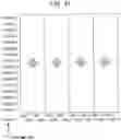 Fig. 48 - Transmitting method, receiving method, transmitting apparatus, and receiving apparatus