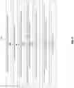 Fig. 13 - Optimized message exchange