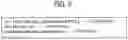 Fig. 07 - Information processing apparatus, authentication method, and non-transitory recording medium storing instructions for performing an information processing method