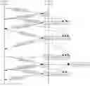 Fig. 01 - Server-side reproduction of client-side quality-of-experience