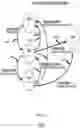 Fig. 05 - Real-time voice paging voice augmented caller ID/ring tone alias