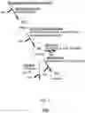 Fig. 07 - Real-time voice paging voice augmented caller ID/ring tone alias