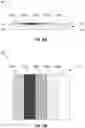 Fig. 11 - Systems and methods for generating time delay integration color images at increased resolution