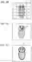 Fig. 08 - Image pickup apparatus, an image processing method and a non-transitory computer-readable medium