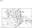 Fig. 09 - Free viewpoint movement display device
