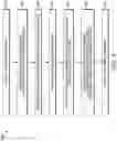 Fig. 07 - Signaling and selection for the enhancement of layers in scalable video