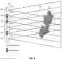 Fig. 07 - Content adaptive light field compression