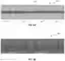 Fig. 07 - AUDIO PROCESSING FOR EXTRACTION OF VARIABLE LENGTH DISJOINT SEGMENTS FROM AUDIOVISUAL CONTENT