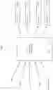 Fig. 10 - Method of adapting a bit rate for a mobile device