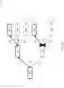 Fig. 08 - DYNAMIC TOPOLOGY GENERATION FOR BRANCHING NARRATIVES