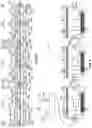 Fig. 05 - Array microphone module and system