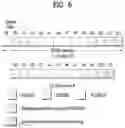 Fig. 06 - Method and apparatus for measuring D2D signal or selecting relay in wireless communication system