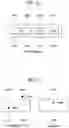 Fig. 12 - Method for triggering a sidelink buffer status reporting in a D2D communication system and device therefor