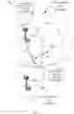 Fig. 03 - Discovering physical cell identifiers in wireless communications
