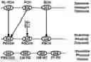 Fig. 01 - Power saving operations in a wireless communication system