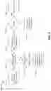 Fig. 04 - Synchronization and reference signal for uplink based mobility
