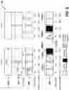 Fig. 03 - Systems and methods for LTE allocation in a shared unlicenced spectrum