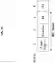 Fig. 21 - Data transmission method in wireless communication system, and apparatus therefor