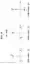 Fig. 31 - Data transmission method in wireless communication system, and apparatus therefor