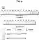 Fig. 06 - Method and apparatus for selecting resource and transmitting PSSCH in wireless communication system