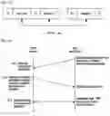 Fig. 08 - Method and apparatus for contention-free random access and uplink power control in wireless communication system
